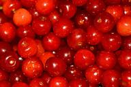 cherries-food-season-wild-nature-18875.jpg