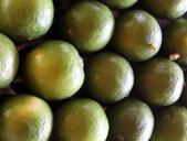 lemons-nature-green-healthy-961761.jpg