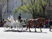 easter-bunny-carriage-horse-parade-846277.jpg