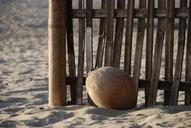 coconut-beach-sand-fence-509225.jpg