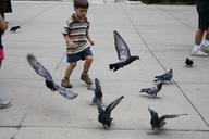 animals-child-play-kid-birds-166454.jpg