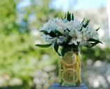 lemons-bouquet-flowers-sunshine-1252670.jpg