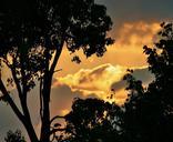 sunset-silhouette-sunset-clouds-287966.jpg