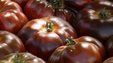 tomatoes-red-market-food-frisch-385517.jpg