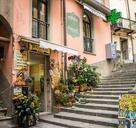 cinque-terre-italy-stairs-flowers-1072517.jpg