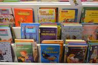 books-library-read-bookshelf-684632.jpg