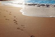 sand-beach-ocean-water-footprints-937387.jpg