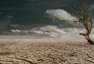 desert-drought-dehydrated-clay-soil-279862.jpg