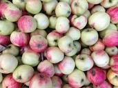 apples-organic-farm-fruit-harvest-1284303.jpg