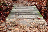 boardwalk-web-bridge-transition-232934.jpg