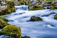 torrent-water-mountain-river-clear-1541204.jpg