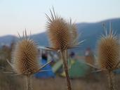 camping-tents-gelendzhik-mountains-710781.jpg