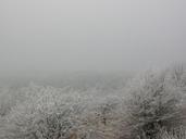 crags-winter-frost-cold-frozen-166570.jpg