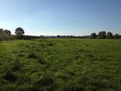 meadow-green-grass-sky-landscape-421744.jpg