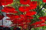 umbrellas-canopy-red-parasol-1318083.jpg