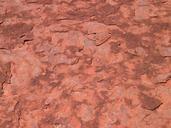 earth-desert-dry-red-texture-sand-289223.jpg