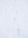 traces-footprints-snow-snow-tramp-919891.jpg