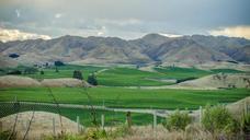 mountain-fields-vineyards-field-429326.jpg