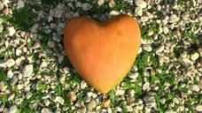 orange-heart-love-nature-stones-566714.jpg