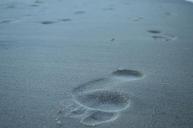 footprint-sand-beach-footprints-243731.jpg