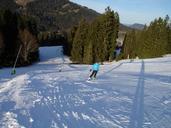 ski-run-ski-area-skiing-skiers-234068.jpg