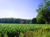 farm-rural-cornfield-nature-438522.jpg