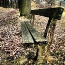 bench-nature-autumn-parking-walk-969135.jpg