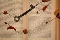 book-key-old-close-613629.jpg