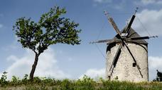 windmill-mill-old-windmill-monument-359146.jpg