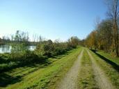 dam-away-danube-bushes-bank-522734.jpg