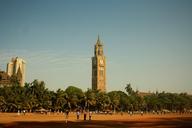 clock-tower-victorian-architecture-390542.jpg