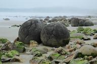 boulders-moeraki-koekohe-beach-sea-717920.jpg