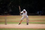 cricket-batsman-sports-stumps-166932.jpg