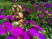 chocolate-bunny-easter-bunny-easter-329299.jpg