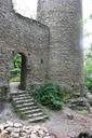 castle-burgruine-look-forestry-574900.jpg