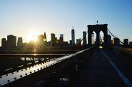 brooklyn-bridge-new-york-665927.jpg