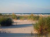 dunes-sand-beach-sea-baltic-sea-449538.jpg