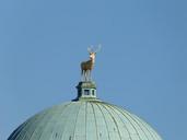 dome-roof-about-hirsch-antler-69092.jpg