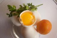 egg-egg-yolk-yellow-cracked-open-390674.jpg