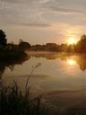 pond-water-pond-plants-dawn-94471.jpg