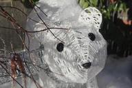 polar-bear-decoration-outdoor-700413.jpg