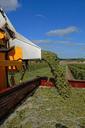 harvest-vines-agriculture-595107.jpg