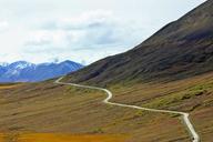 Denali-Wilderness-Alaska.jpg