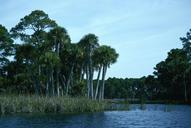 Tropical freshwater lake landscape.jpg