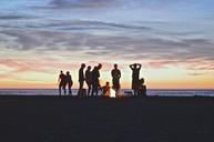 campfire-beach-people-party-sunset-984020.jpg