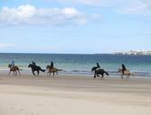 horse-riding-beach-northumberland-883738.jpg