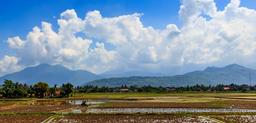 thunderstorm-paddy-field-electricity-1477171.jpg