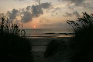 Sunrise over ocean seen from coast.jpg