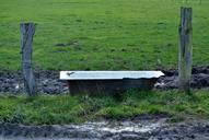 meadow-drinking-trough-nature-233870.jpg