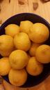 lemons-juicy-yellow-food-juice-338138.jpg